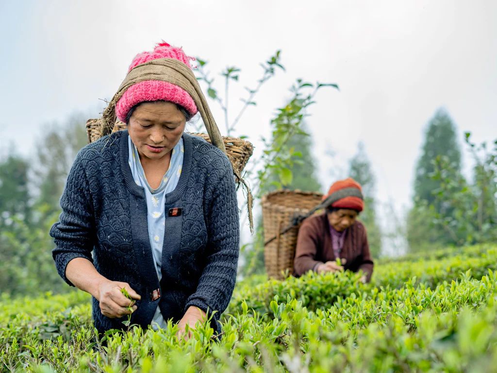 Every 5th breakfast as a gift.